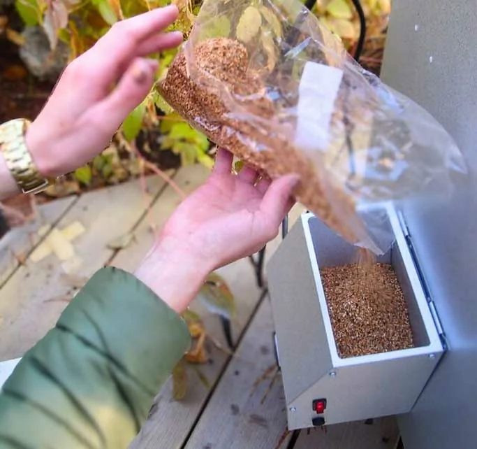 Guide to Smoking Wood Types – Understanding Flavors and Smoke Profiles